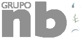 gruponb logo